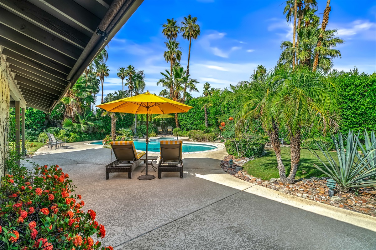 lush green backyard landscape