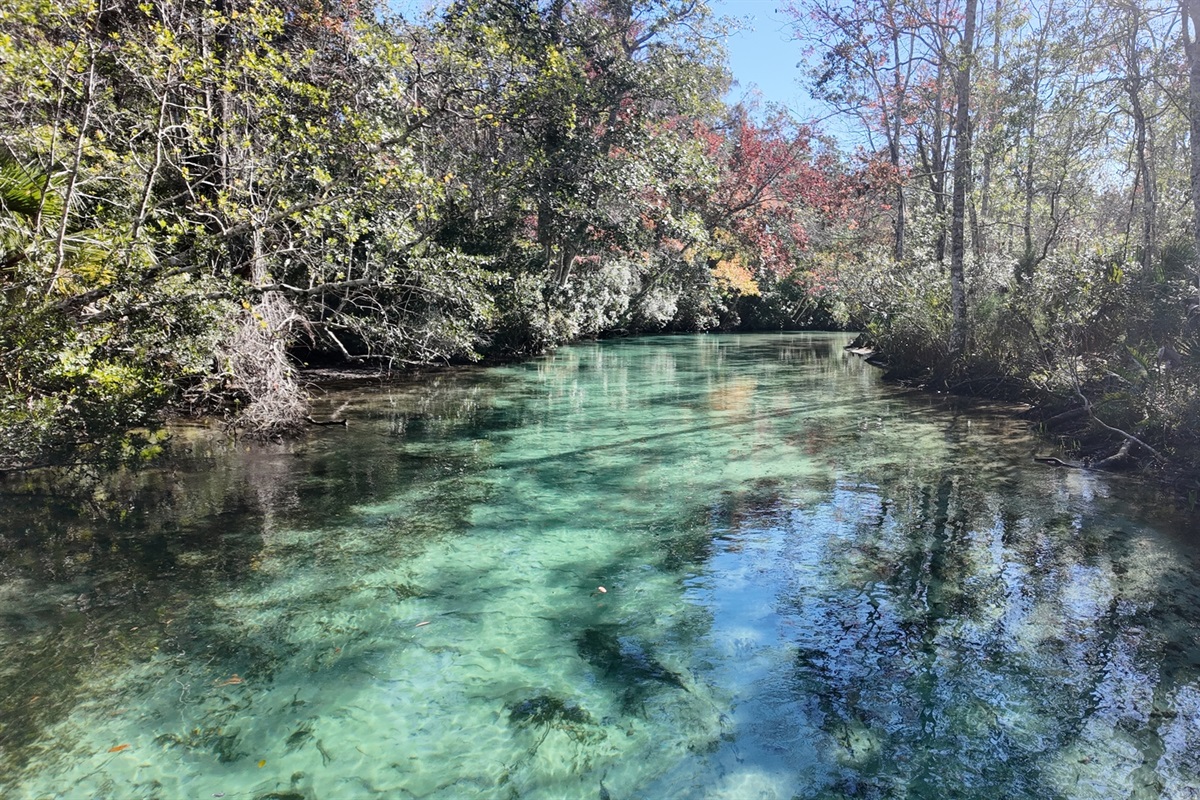 breathtaking River views