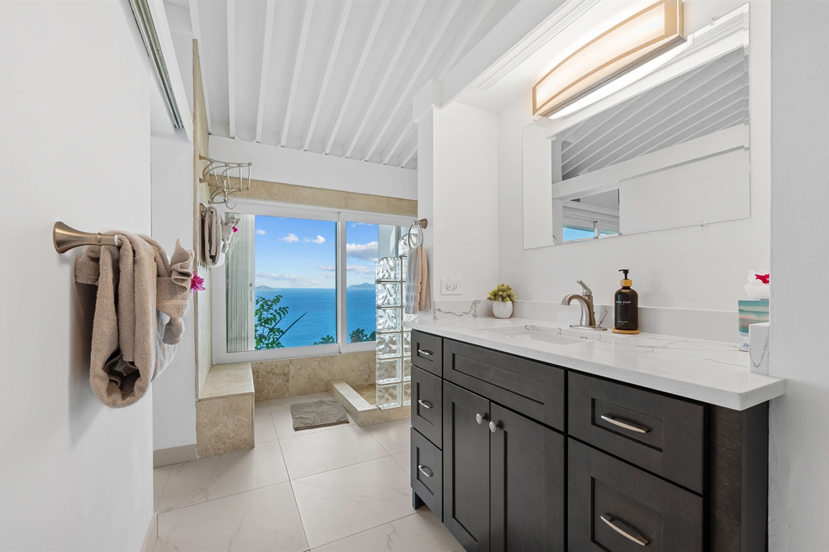 Ensuite primary bathroom has a shower with a view!