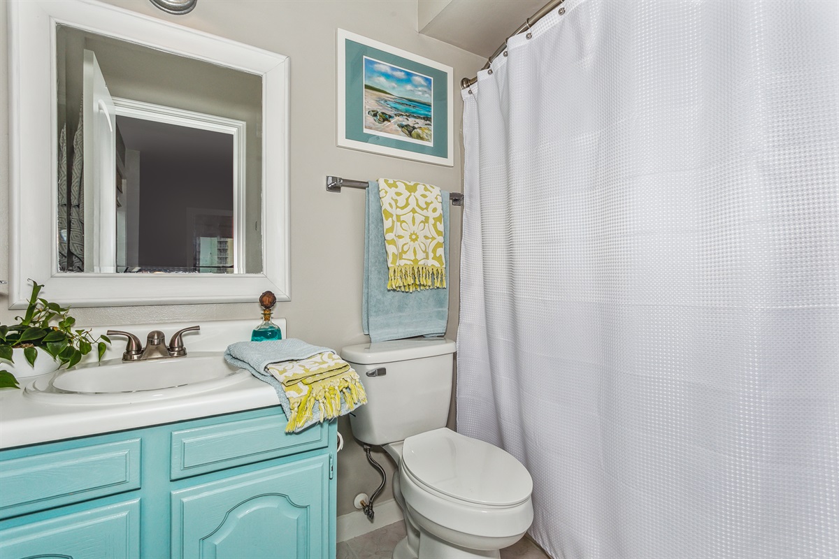 Full Bathroom Tub/ Shower Combo