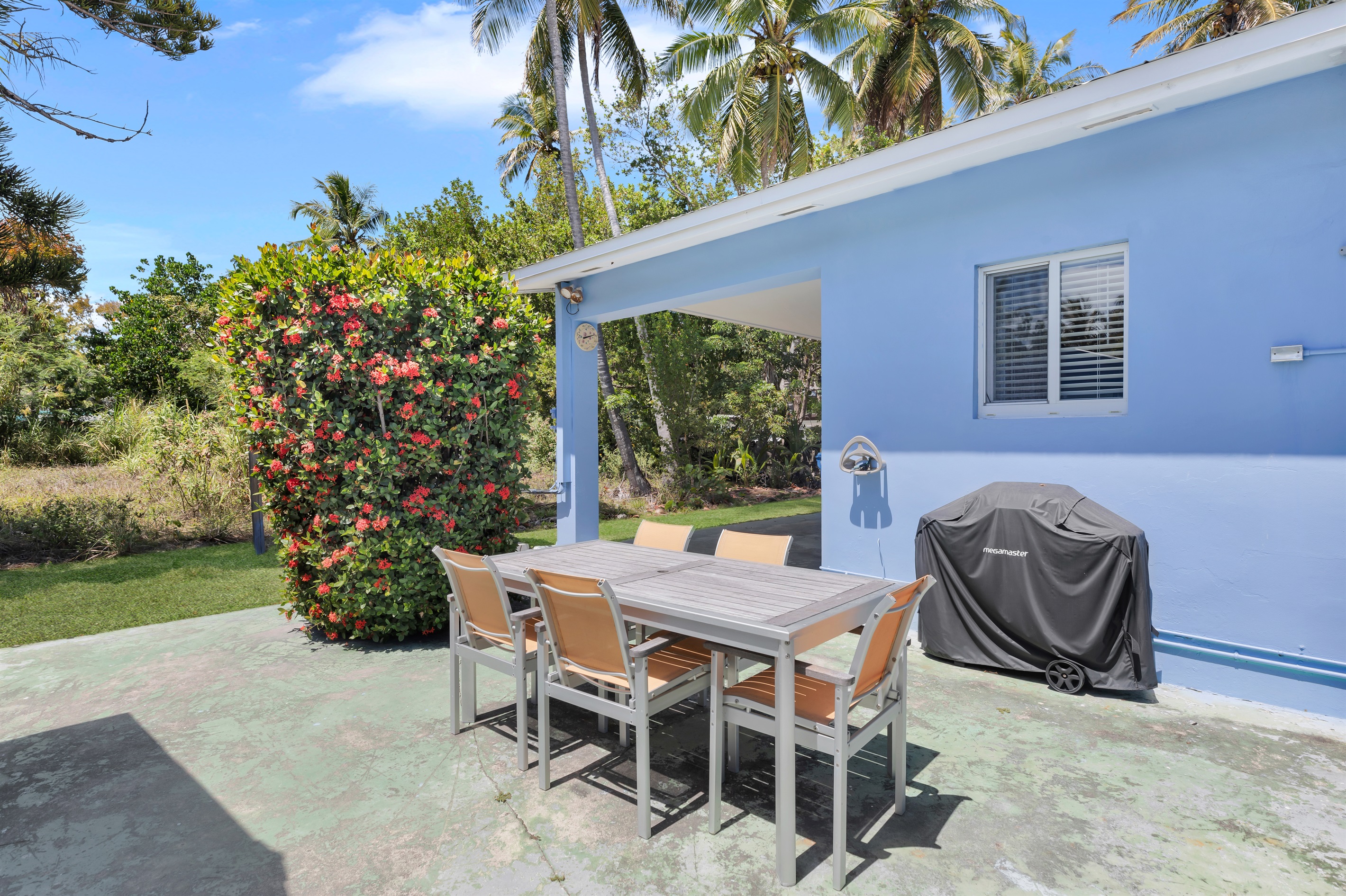 Outdoor dining and BBQ grill