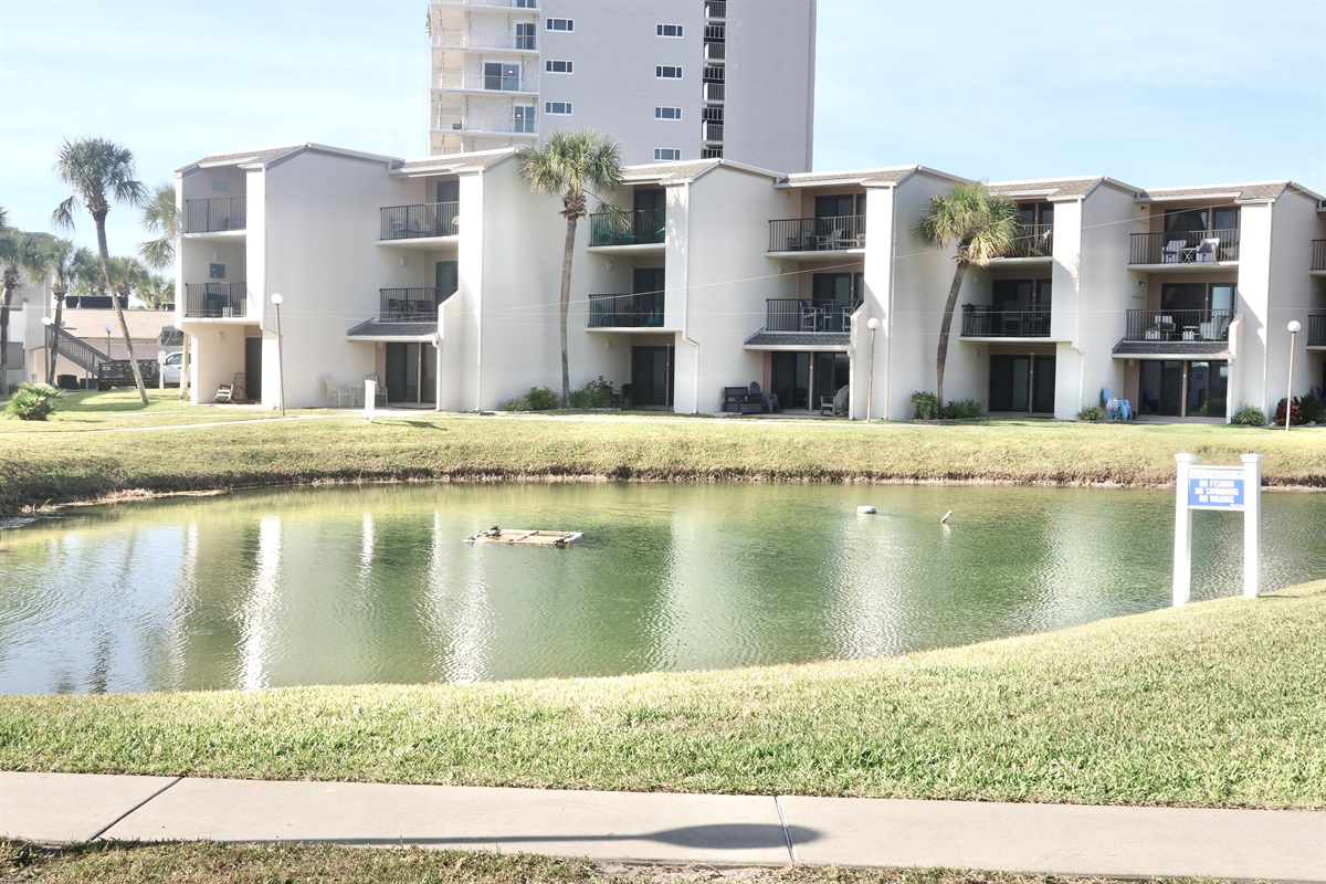 Ground floor patio with views of pool & pond