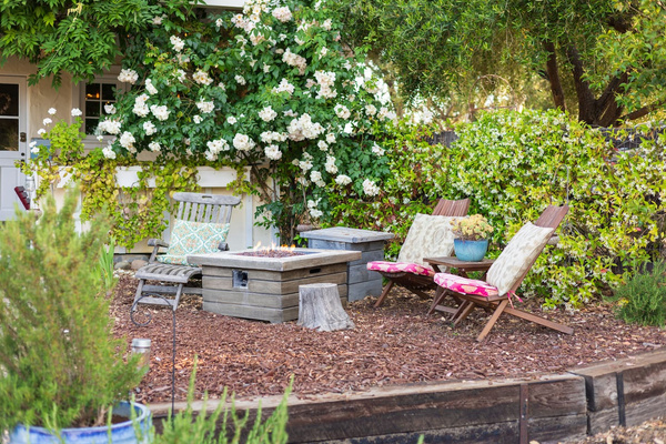 Easy start gas fire pit with lush backdrop and hummingbirds. 