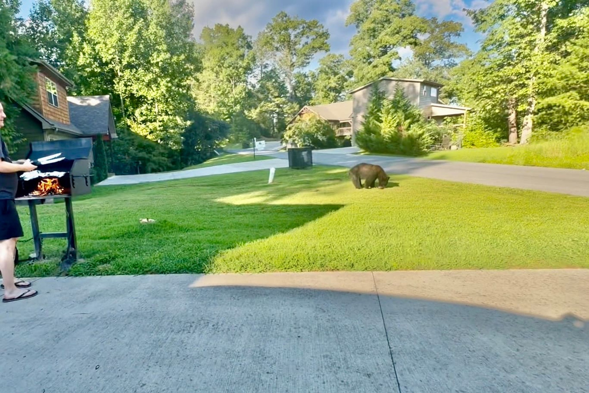 Front Yard