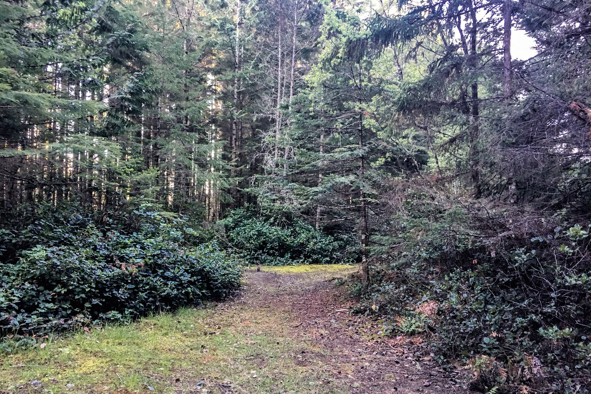 And more Paths