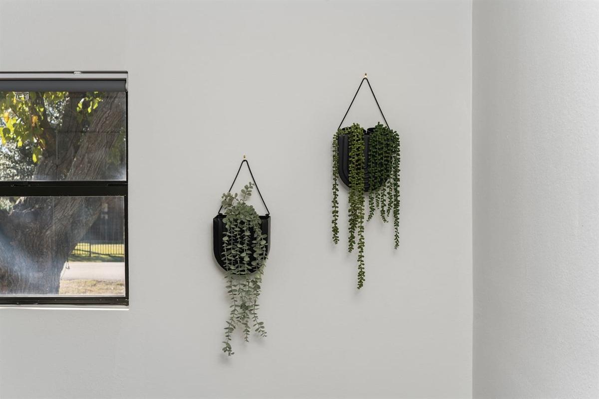 A touch of greenery brings warmth and calm to the space — stylish wall accents that create a welcoming, modern feel throughout the home.