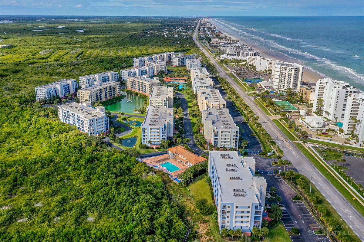 Bird's Eye View looking North