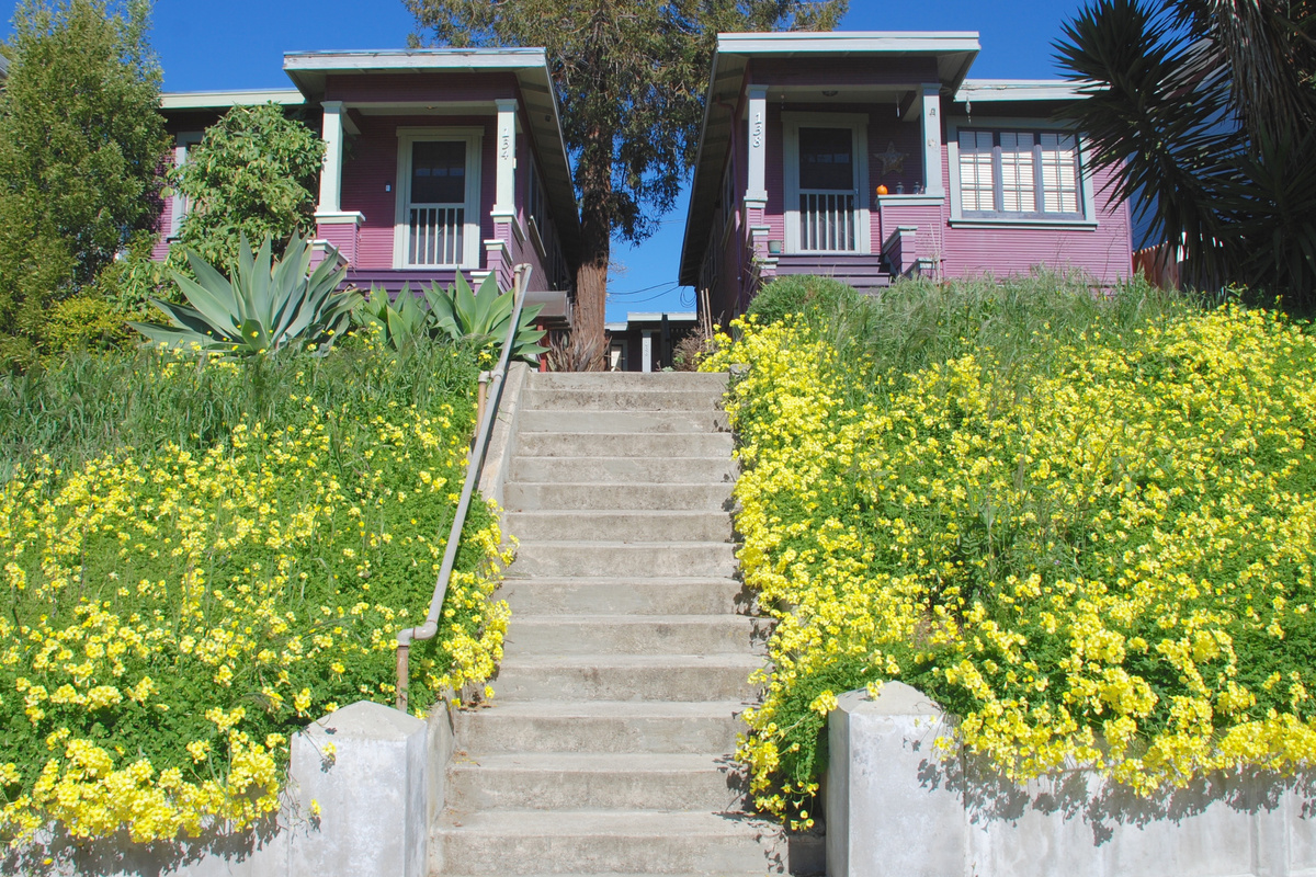 Front of the property in Spring