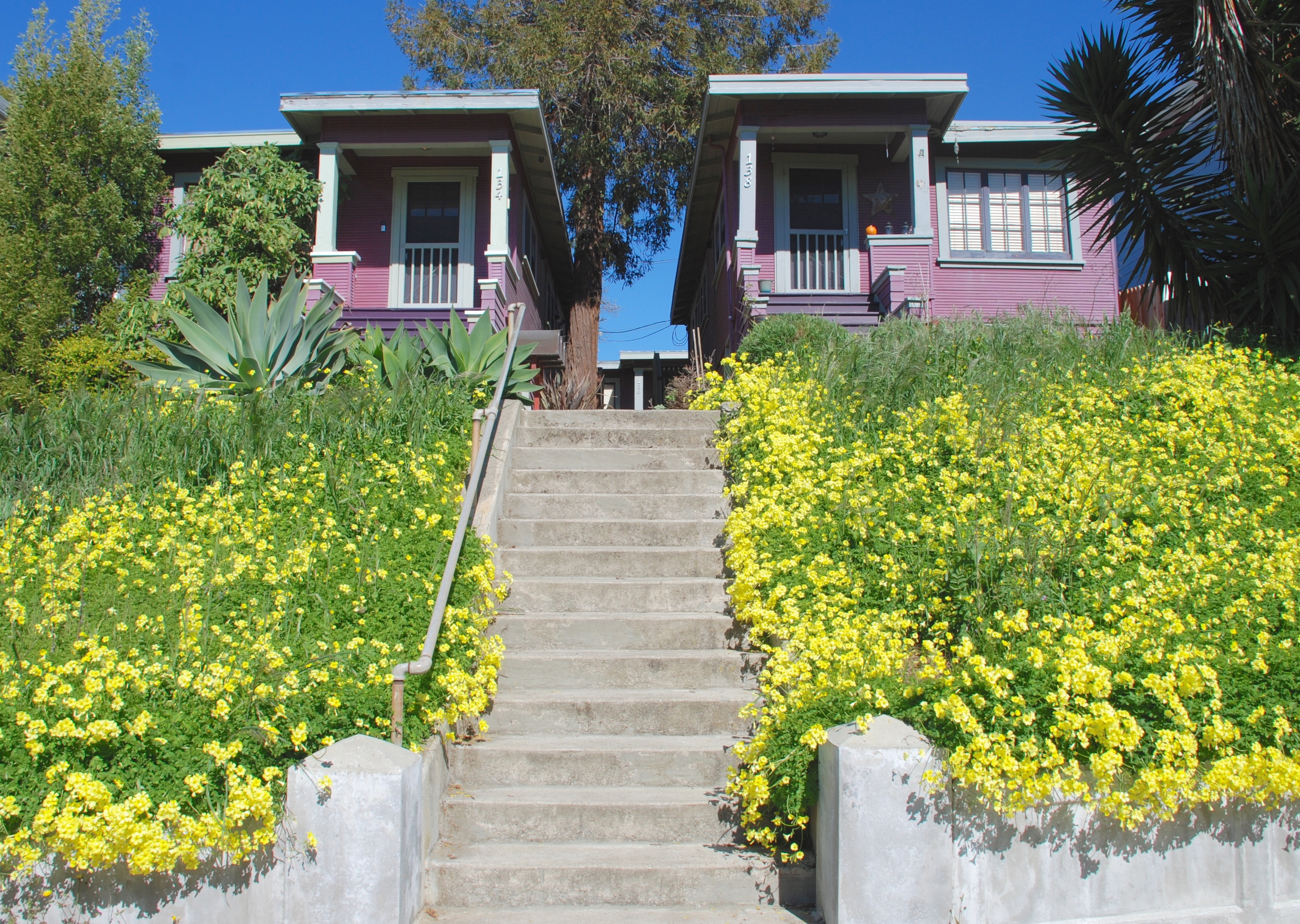 Front of the property in Spring
