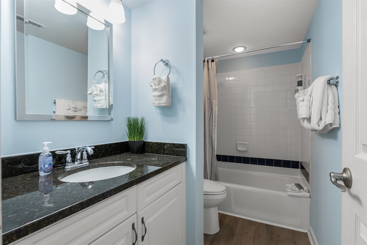 Main Bathroom with tub/shower