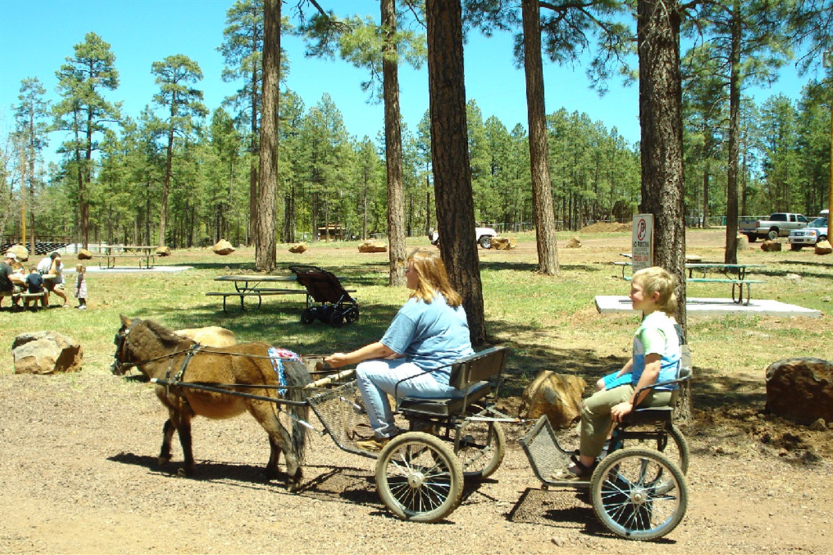 Horseback riding, Horse Boarding, Trail and Carriage Rides, Camping Sites, and Special Events available nearby.