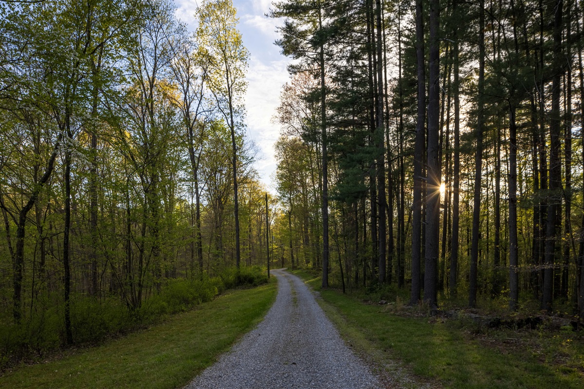 The Woods Cabin is at the top of our driveway.