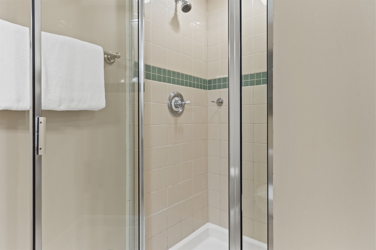 Guest Bathroom Shower