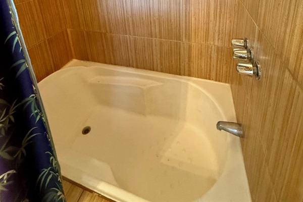 Bedroom 5 en suite bathroom tub/shower 