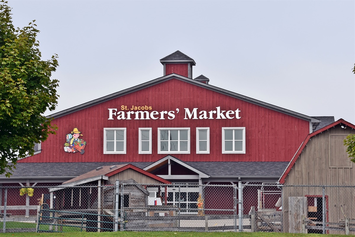 Farmer's Market - 3.8 km away