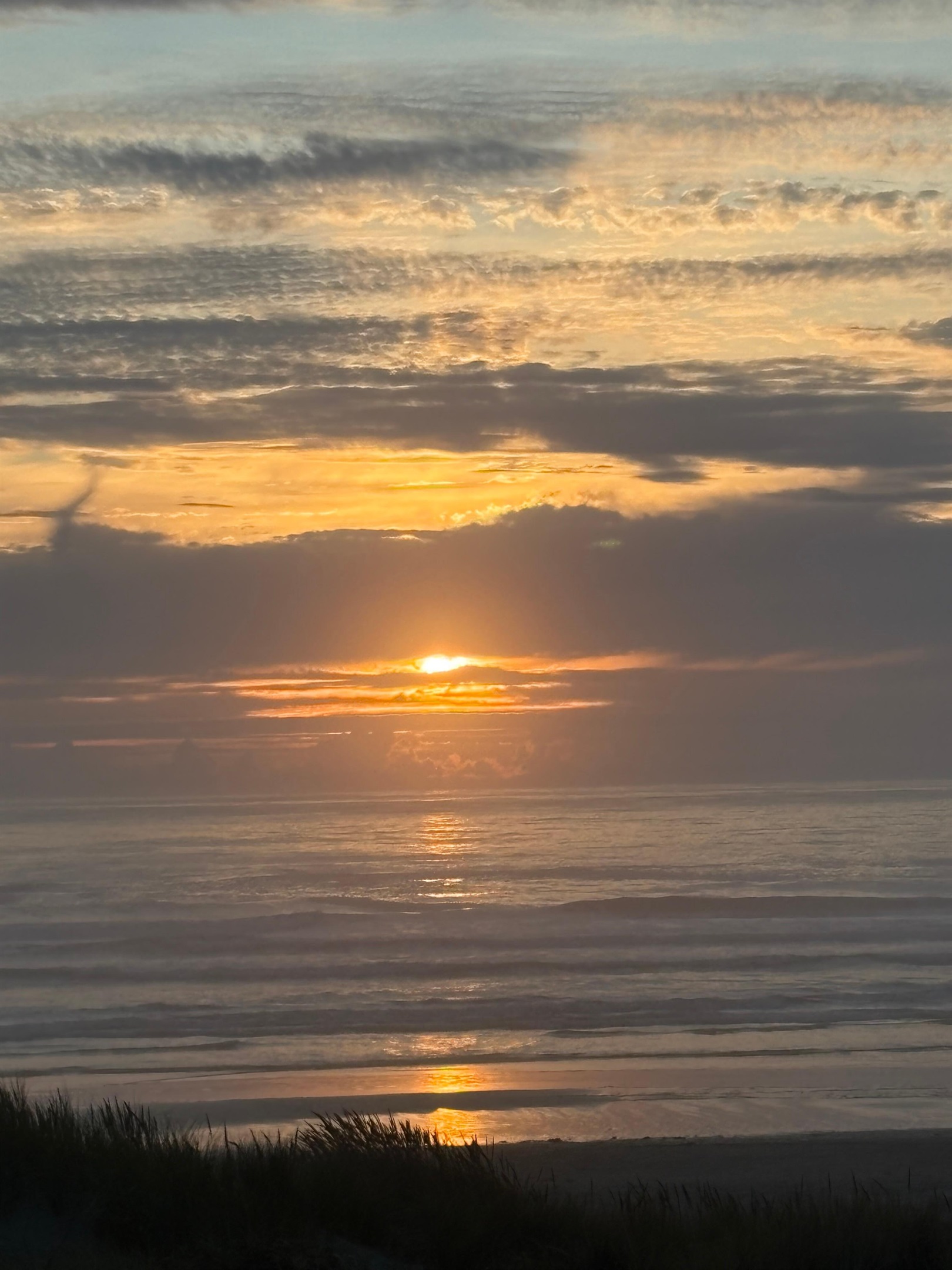 Anne F., Aug 20, 2025