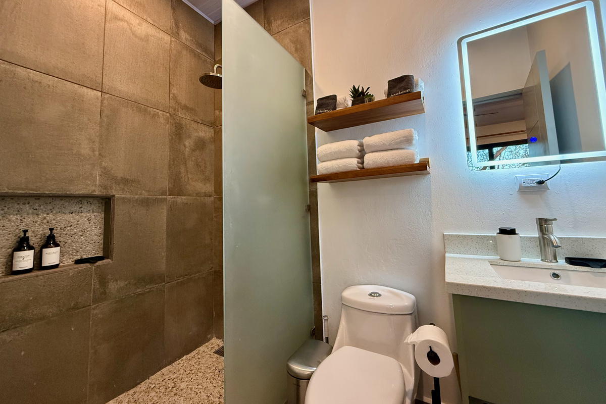 Ensuite. Rain shower, frosted glass, LED mirror