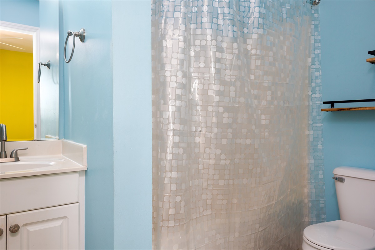Upstairs master bathroom