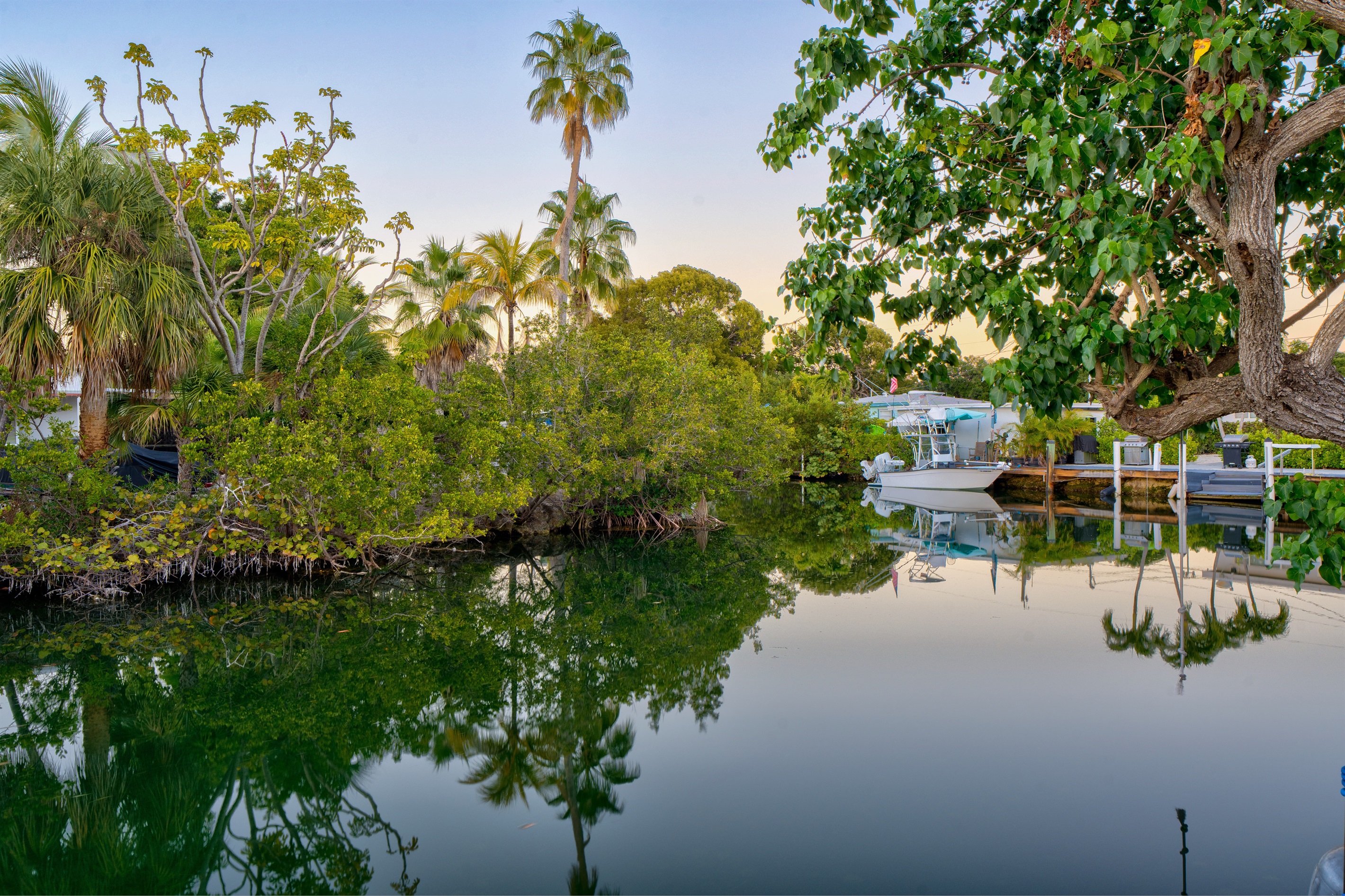 Take the 5 kayaks provided for your use out into the canal, where manatees often come to visit by the dock.