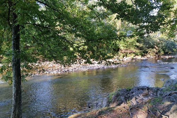 Listen to the cascading waters of the Little Pigeon River while taking a stroll on the walkway located within the resort.