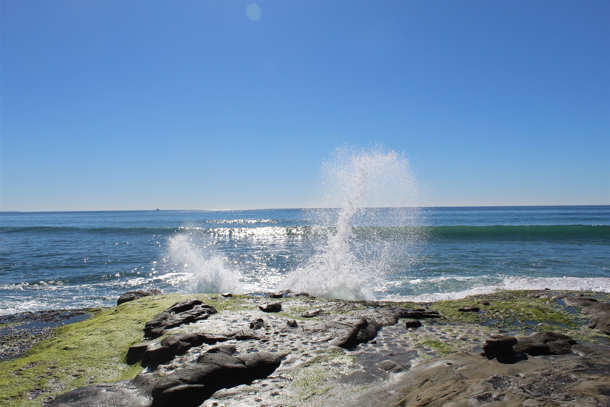 Las Gaviotas Coastline