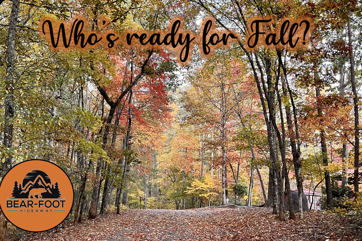 Drive up to Bear-Foot Hideaway and see these beautiful colors!