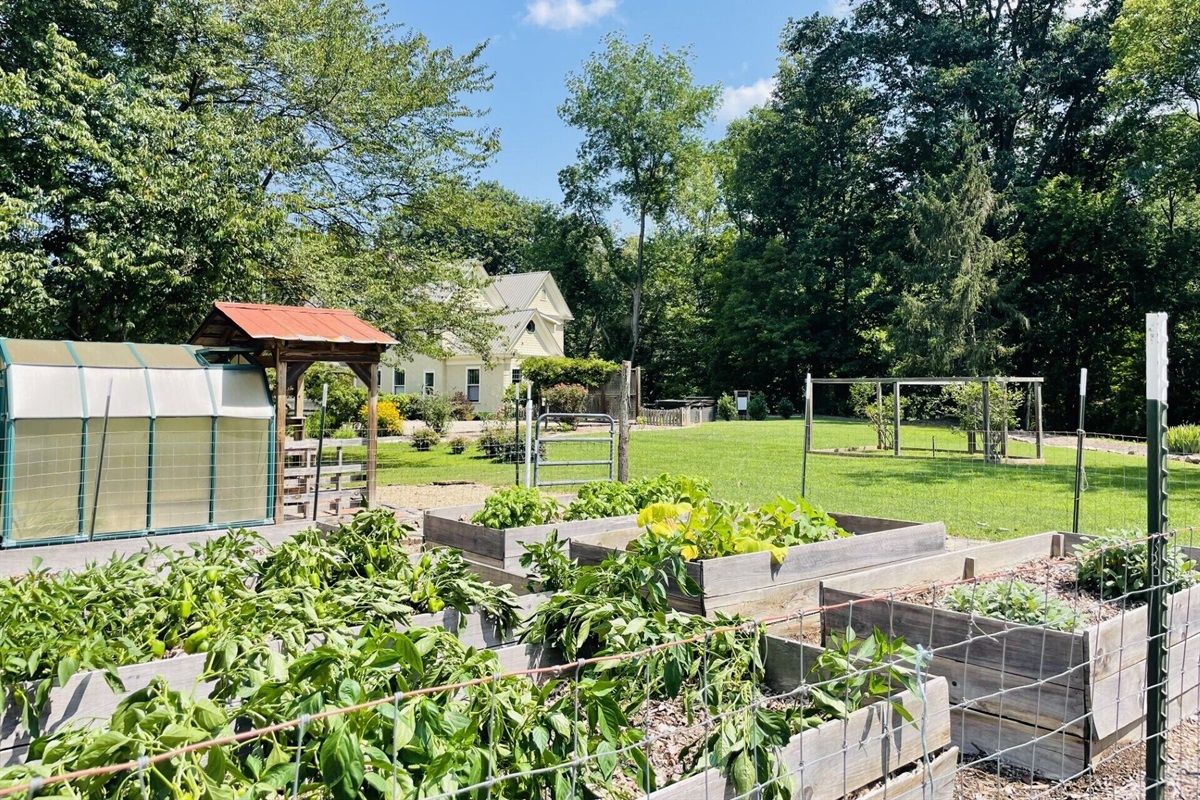 Raised vegetable and herb beds. Guest are welcome to help themselves in season