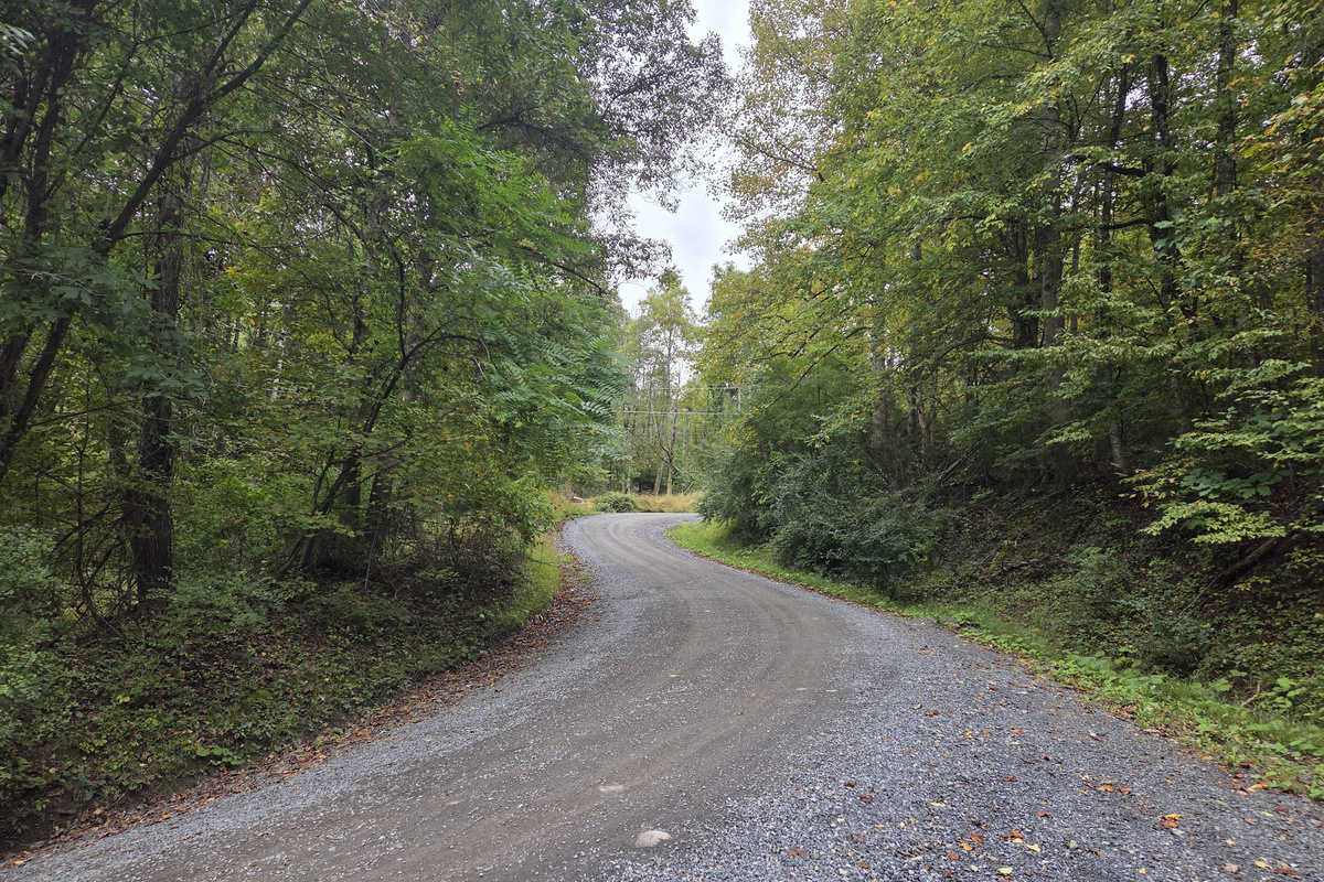 Mountain gravel road leading to the cabin