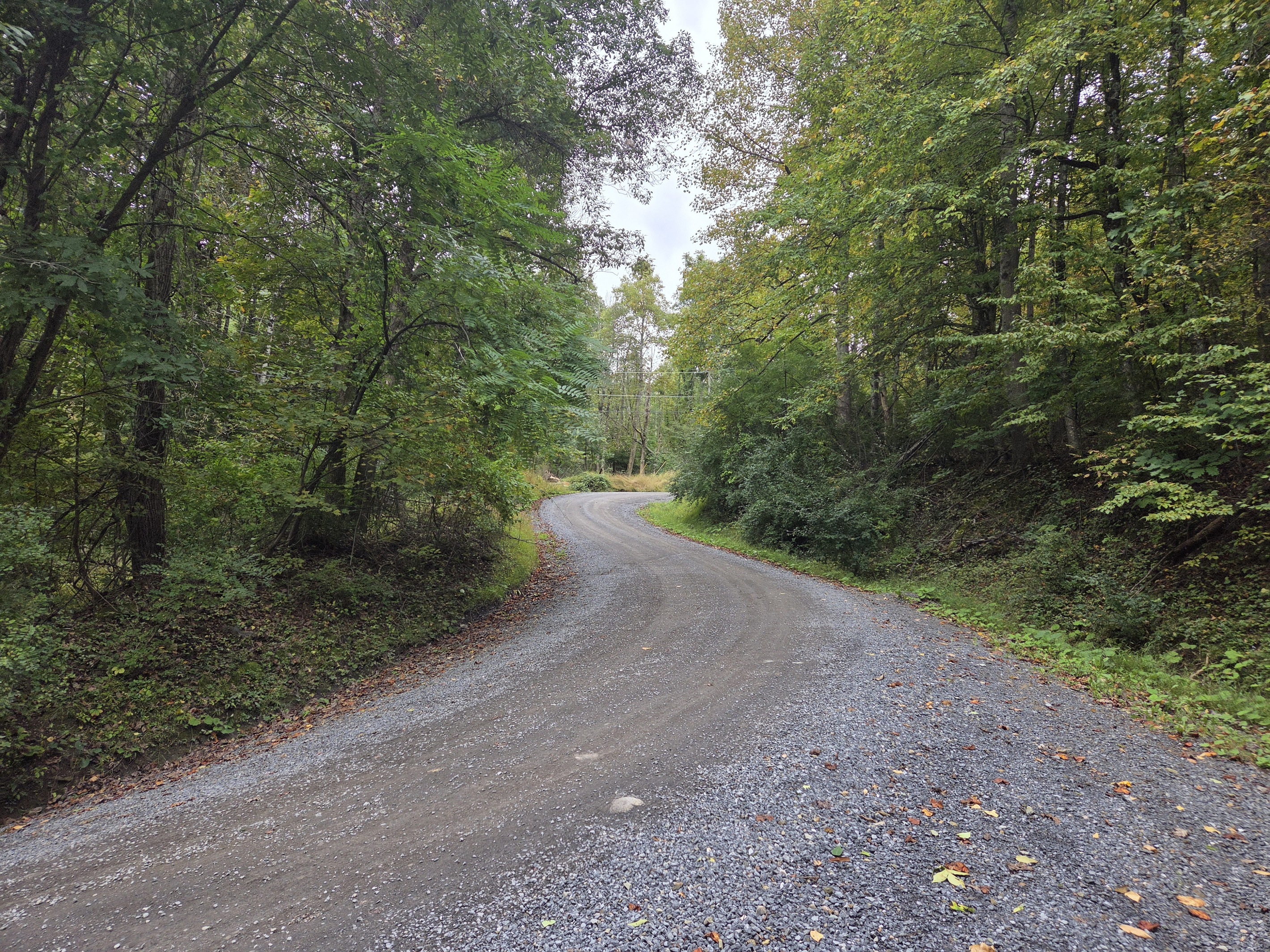 Mountain gravel road leading to the cabin