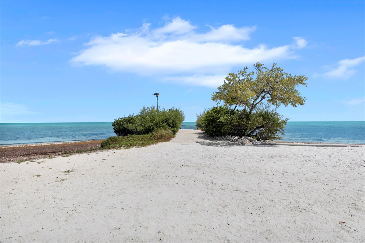 White sandy beach overlooking the Atlantic Ocean with Osprey nest