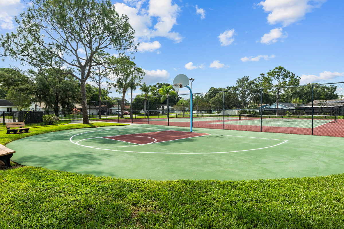 Recreation area, half basketball court.
