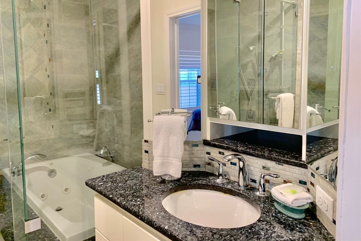 Spa-like Master Bath with Multiple Upgrades