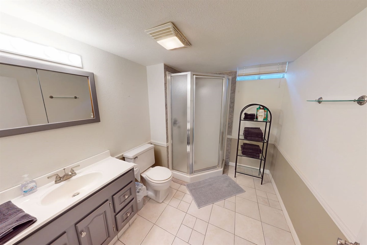 Second Bathroom in the Basement 