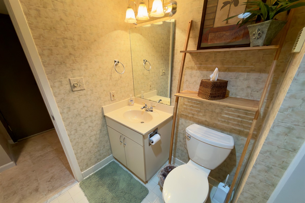 Vanity/Toilet In Bathroom