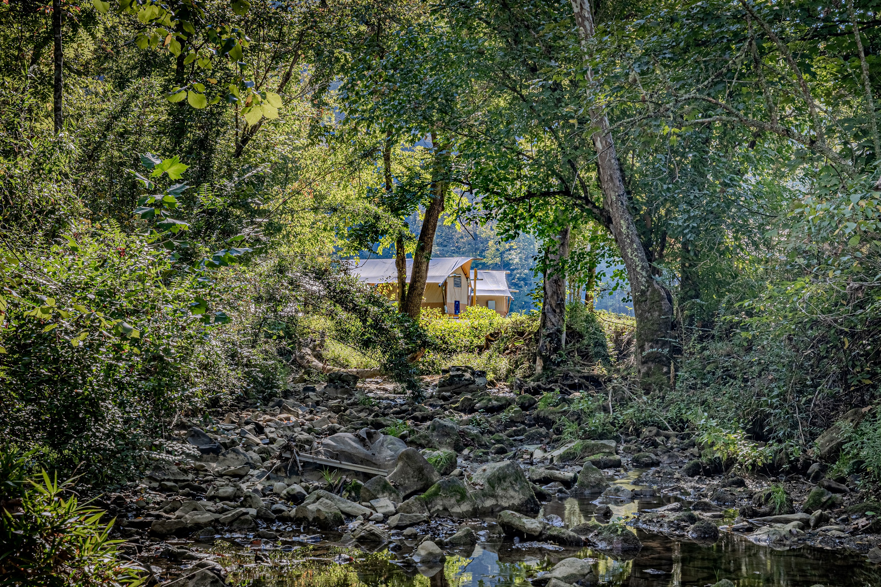 It's not just a stay; it's an arrival. We're nestled deep within the trees, offering a true sense of getting away from it all.