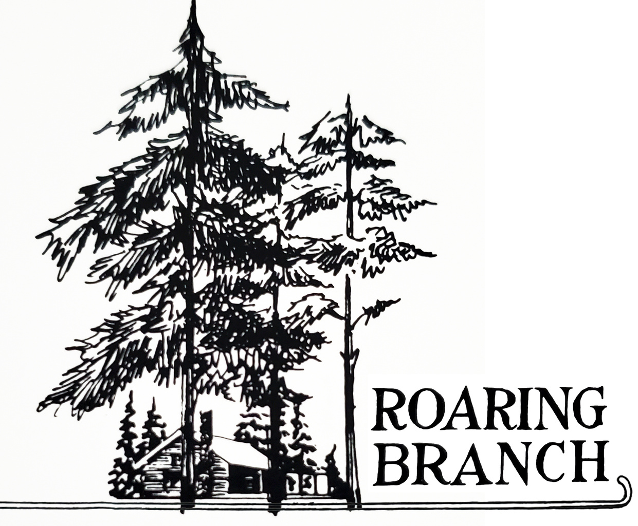 Partridge - Roaring Branch Cabins
