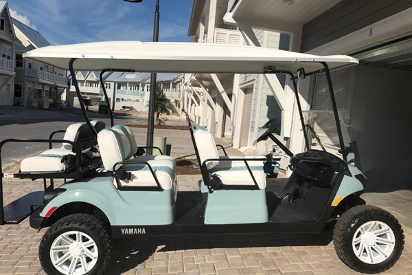 6 Seater Yamaha Gas Golf Cart (LSV)
