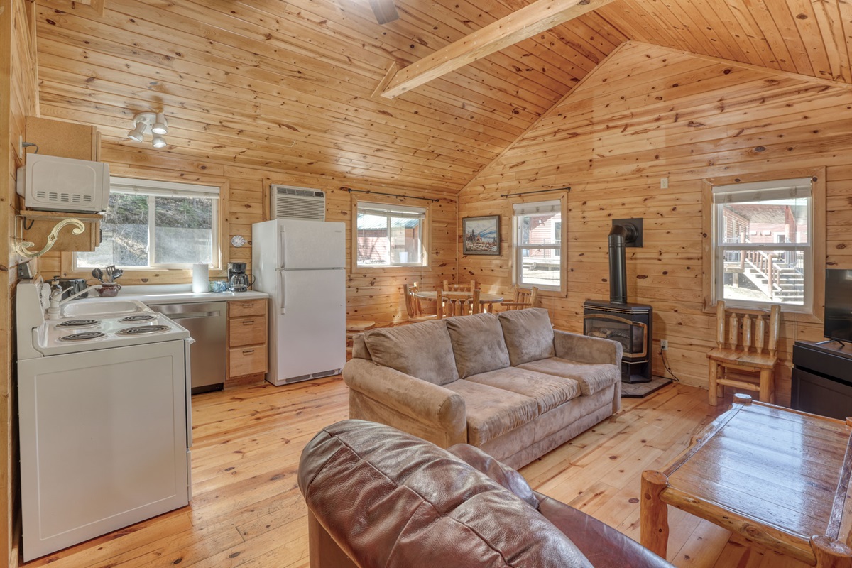 Kitchen and living area with wood burning stove
