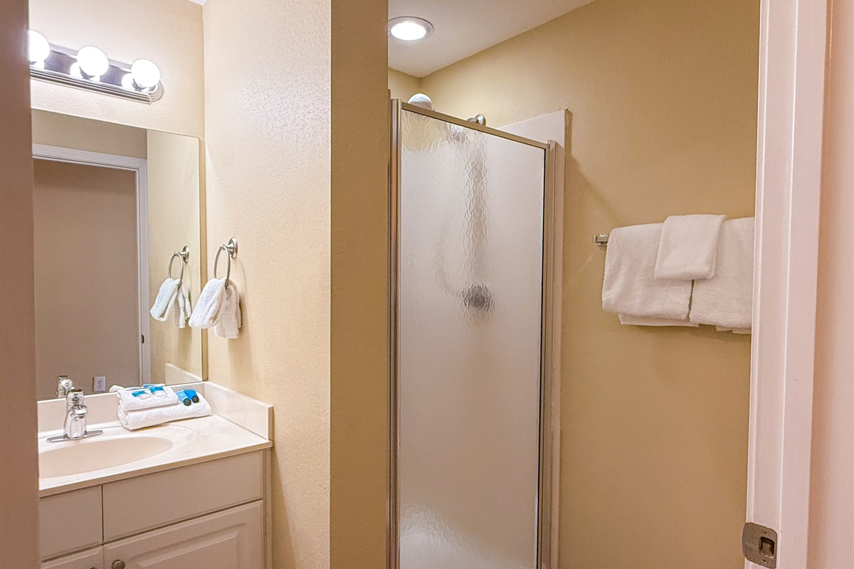 Guest Bath with shower