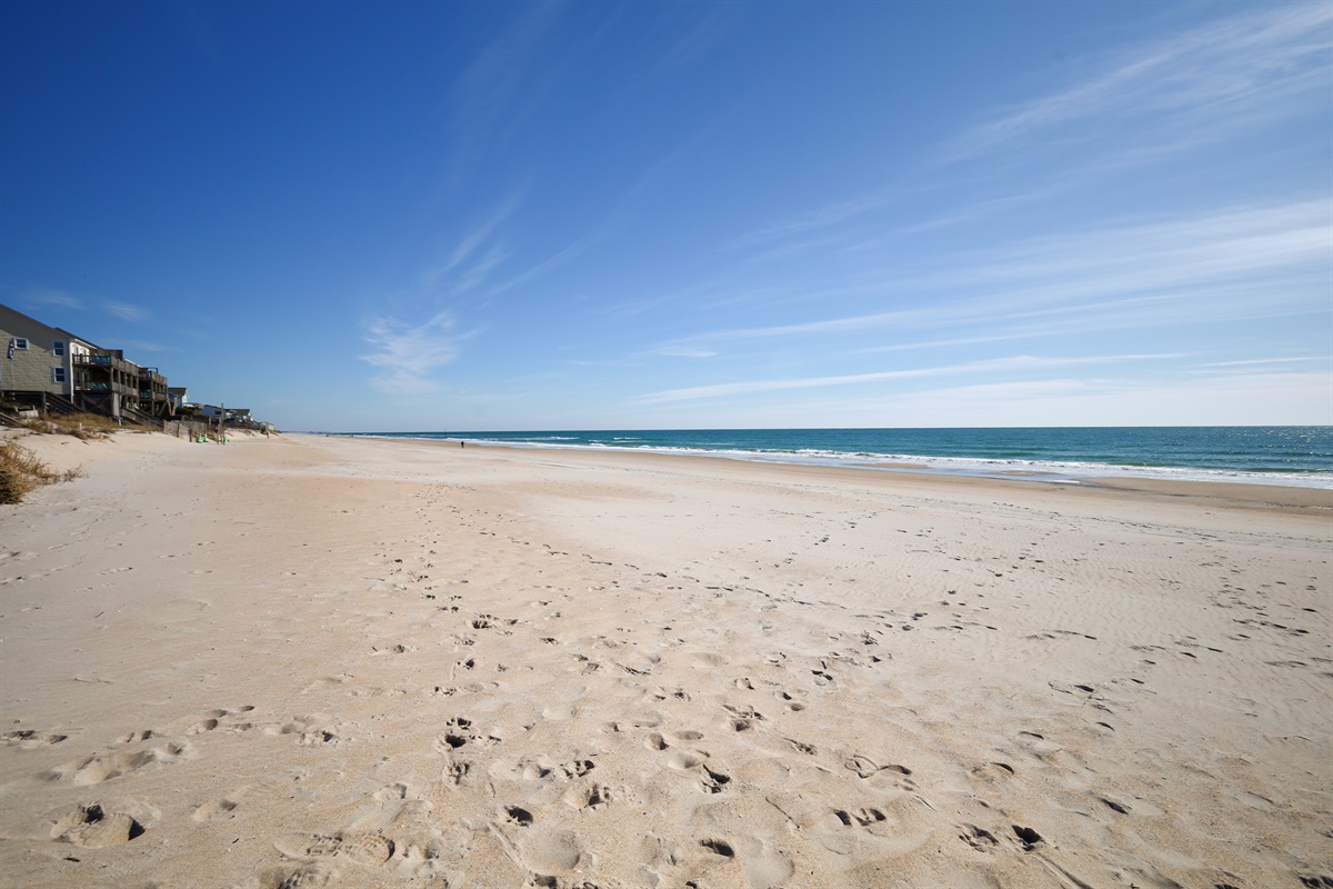 Soft sand, shark teeth galore, and beach for miles!