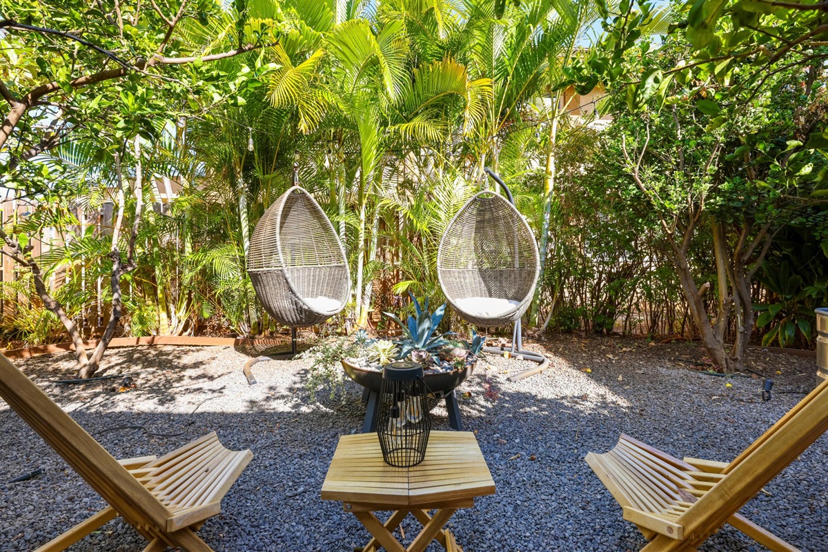 Succulent and Citrus garden (common area)