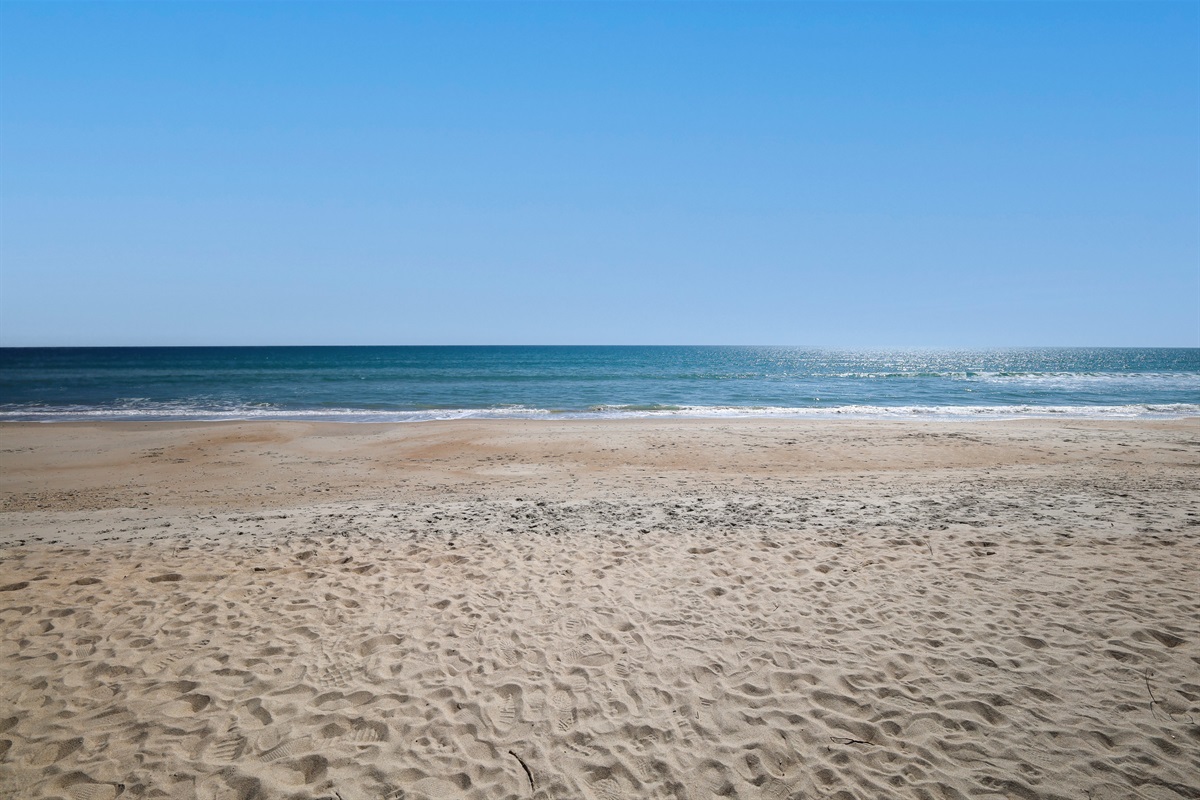 Sunny day by the beach