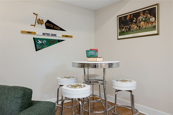 Basement Living Room