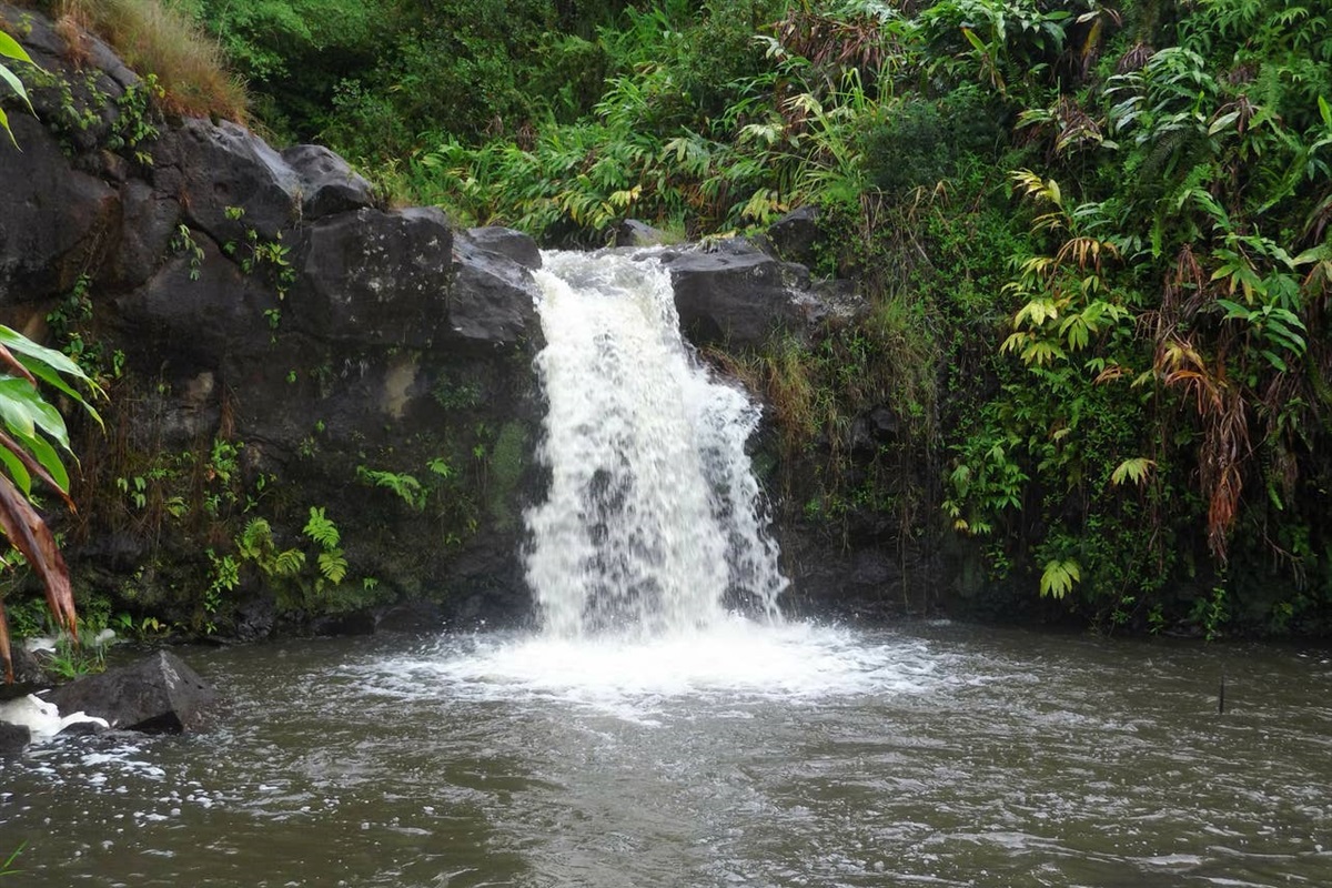 Our swimming hole after a good rain.