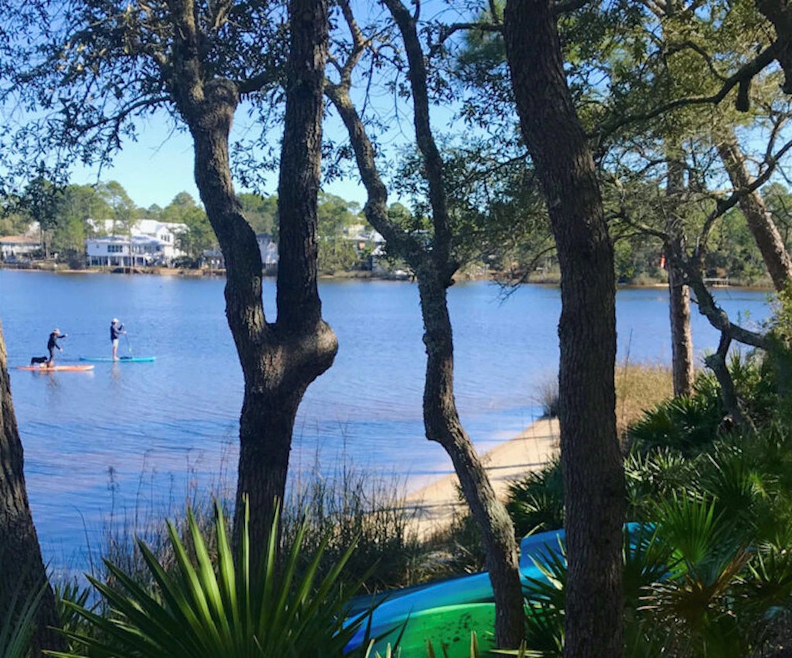 Visit Grayton Beach State park to kayak or paddle board in beautiful Western Lake.