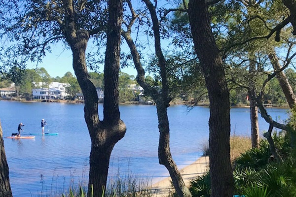 Visit Grayton Beach State park to kayak or paddle board in beautiful Western Lake.