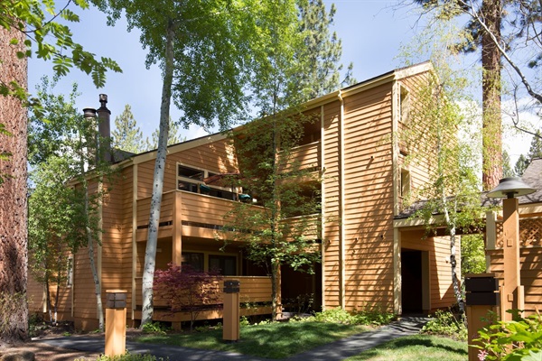 Second-floor condo nestled among springtime trees — your peaceful Tahoe retreat 