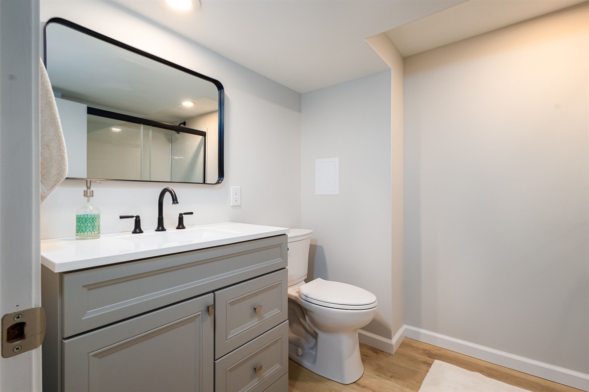 Basement Bathroom