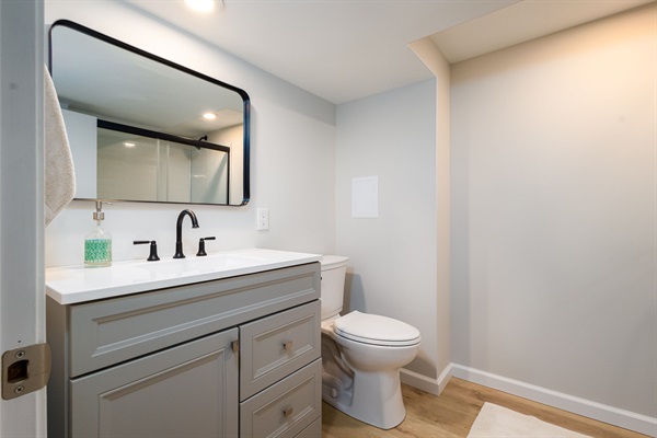 Basement Bathroom