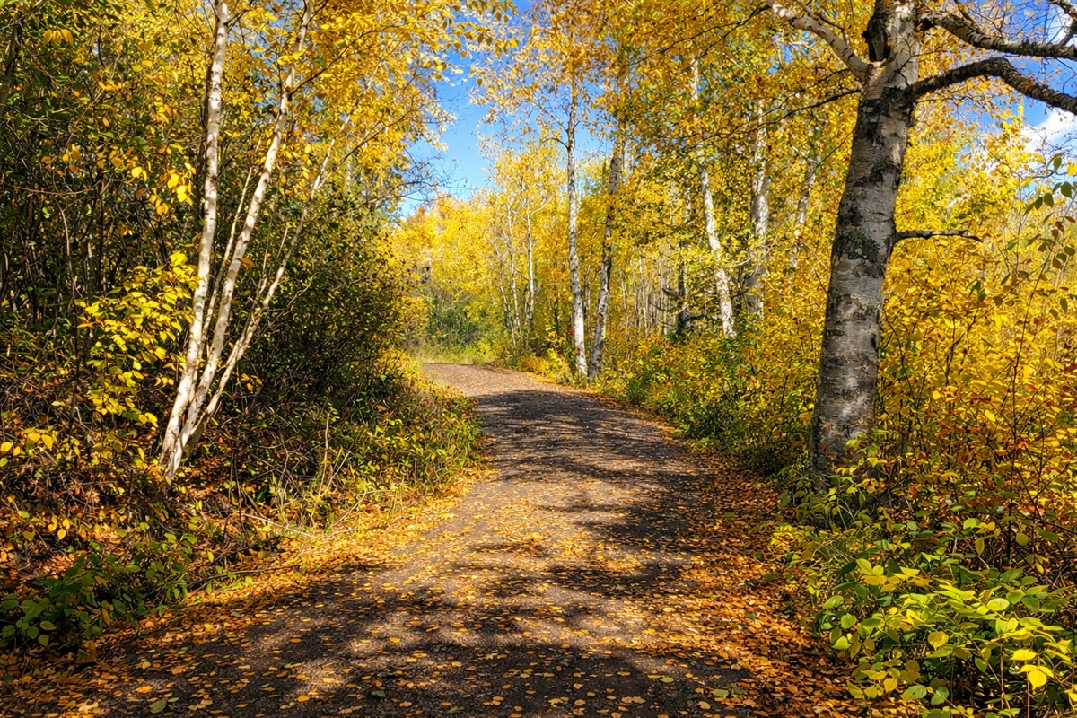 A gentle, winding drive through tree-covered North Shore woods leads you in, building anticipation with every turn. The world slows down, the trees open up, and you know you’ve arrived an inviting, peaceful start to a truly magical cabin getaway.